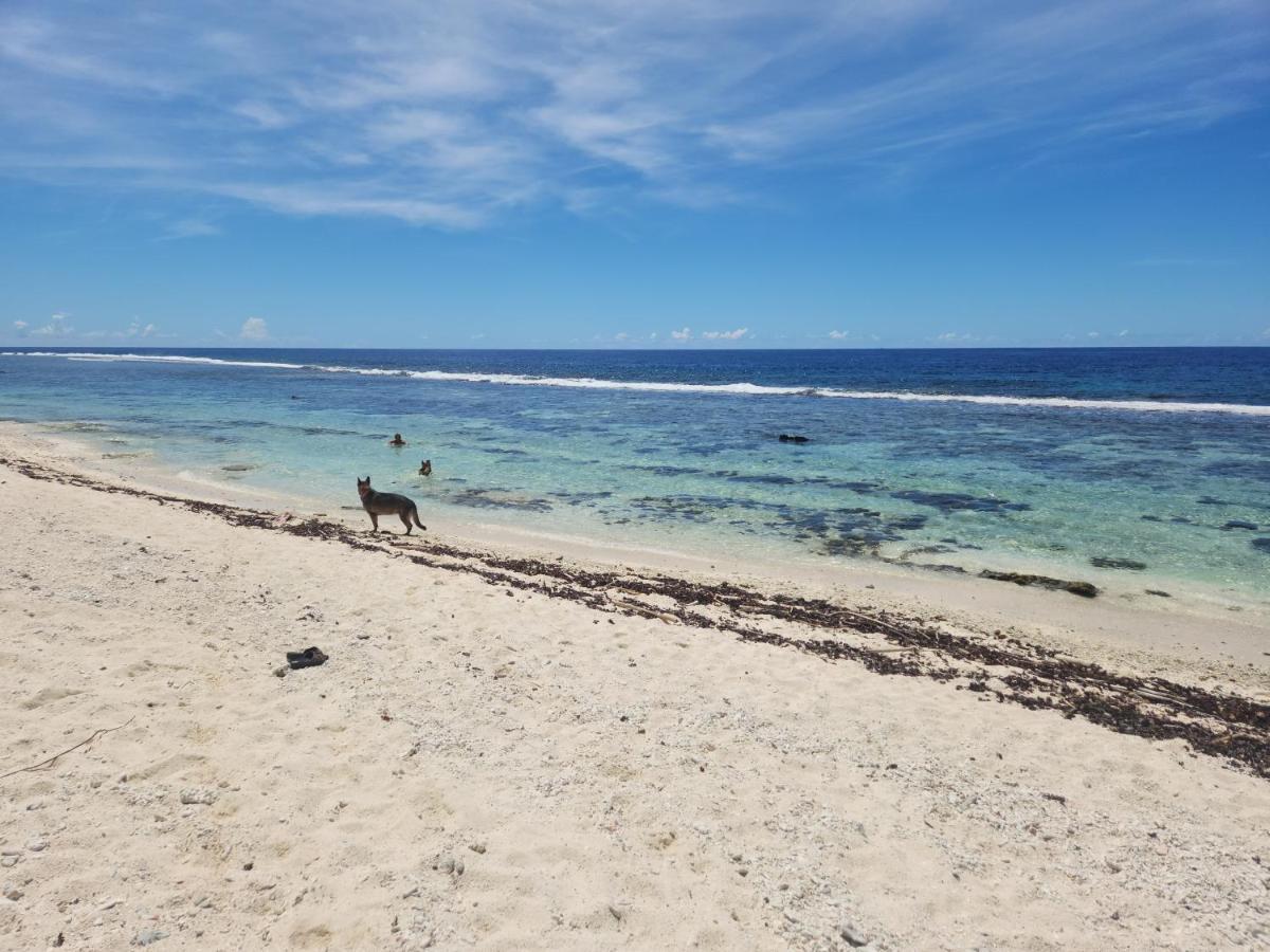 Green Villa Moorea Temae Eksteriør billede